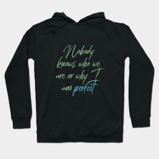 Nobody knows who we are or why I Am Perfect Motivation Inspiration Hoodie